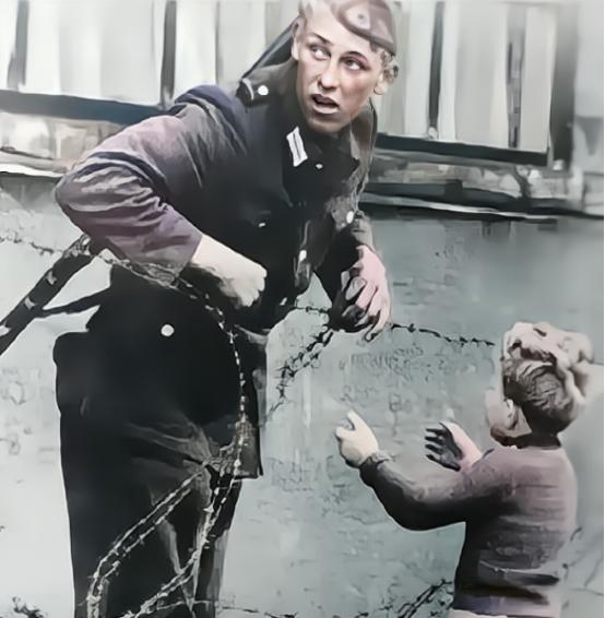 1961年，一名东德士兵，为一个素不相识的小男孩，冒险拉开柏林墙上的一道防线。谁