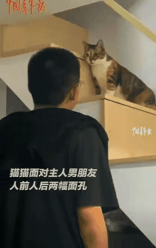 国庆假期，福建厦门一小伙去女友家的经历颇为逗趣。猫咪变脸迅速，小伙以为它在欢迎自
