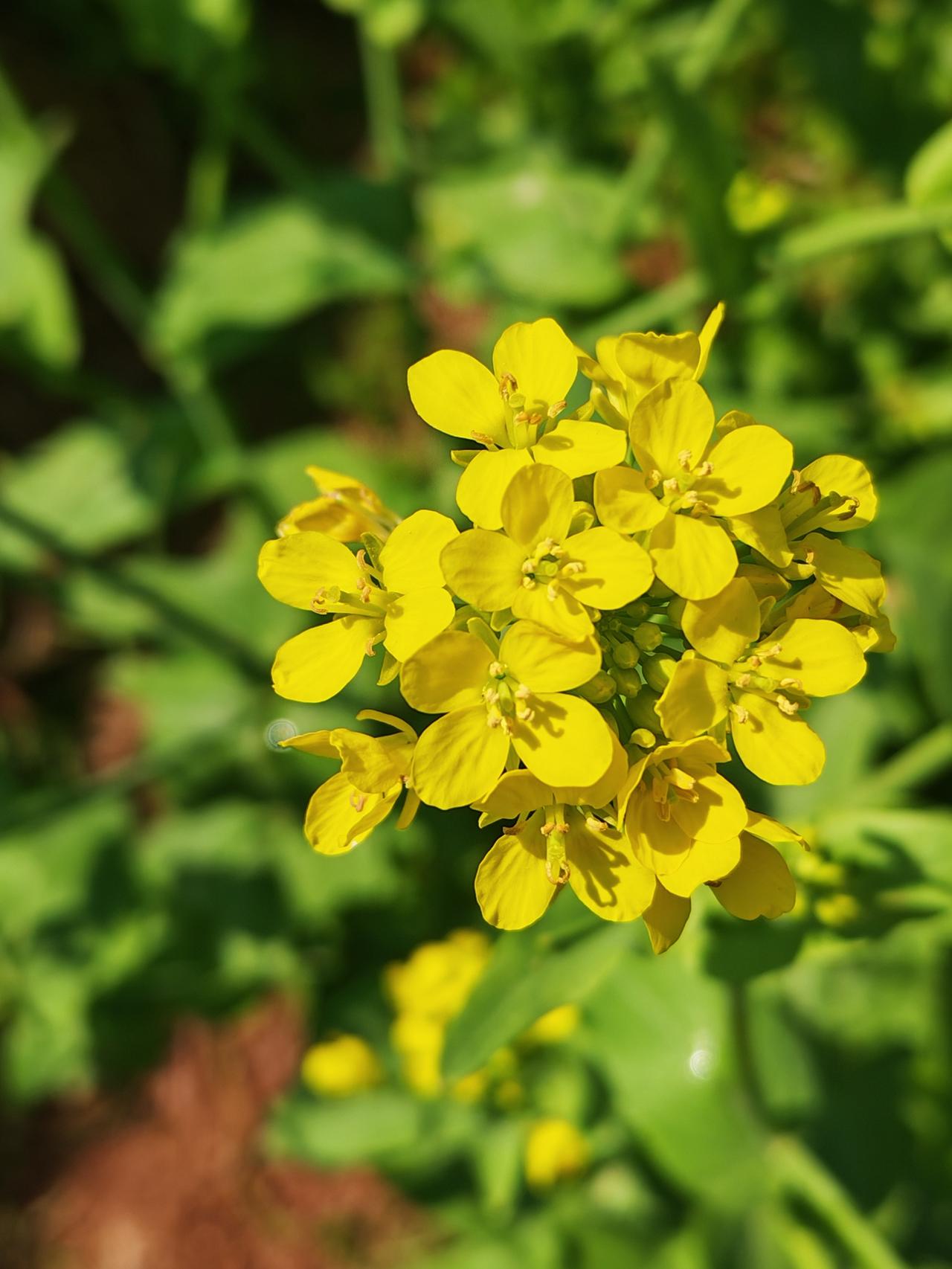 分享一下你随手拍下的照片