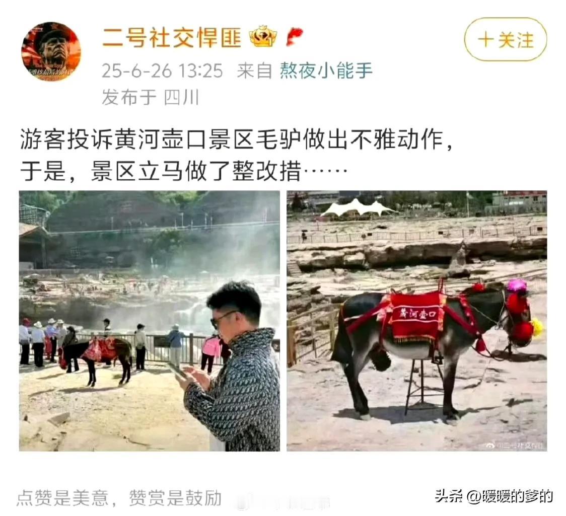 黄河壶口瀑布的驴有什么错

据报道，黄河壶口瀑布景区一女游客，因为看到驴，驴表现