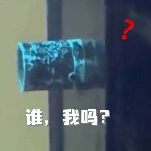说不定这是定制（疑似神志不清） 