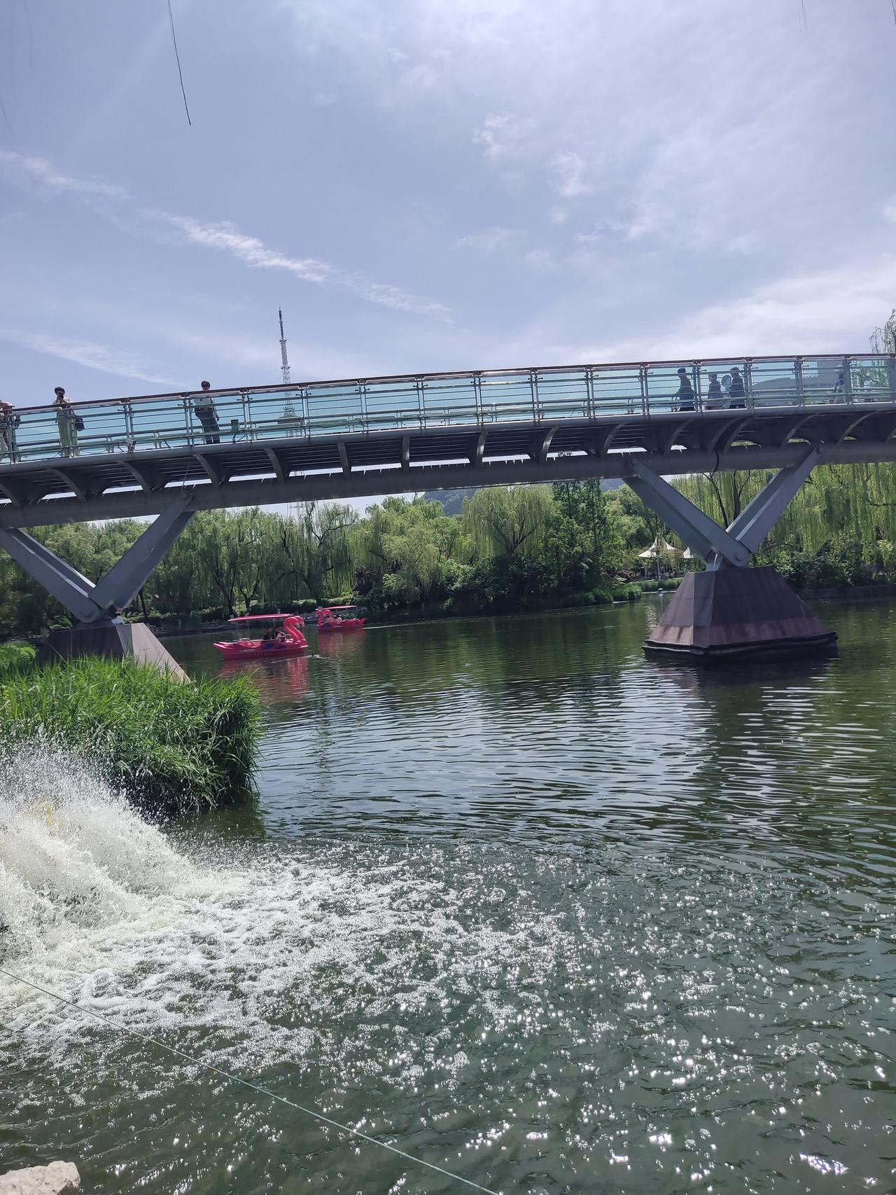 济南的泉城公园，真是春天打卡的宝藏地！这里春光明媚、繁花绽放。园内各类花卉竞相开