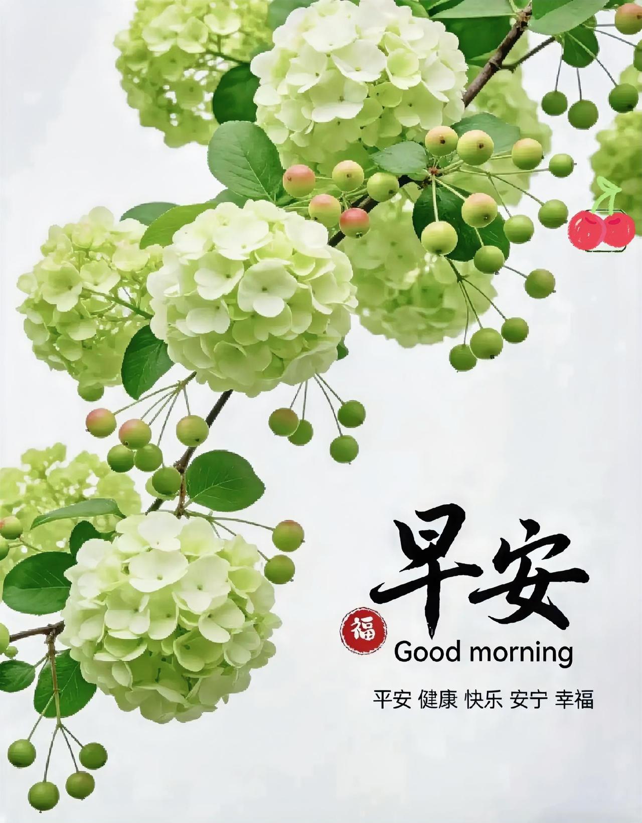 早安！绣球绽放，青果满枝。愿平安健康、喜乐安宁，开启元气满满的一天。
早安语，美