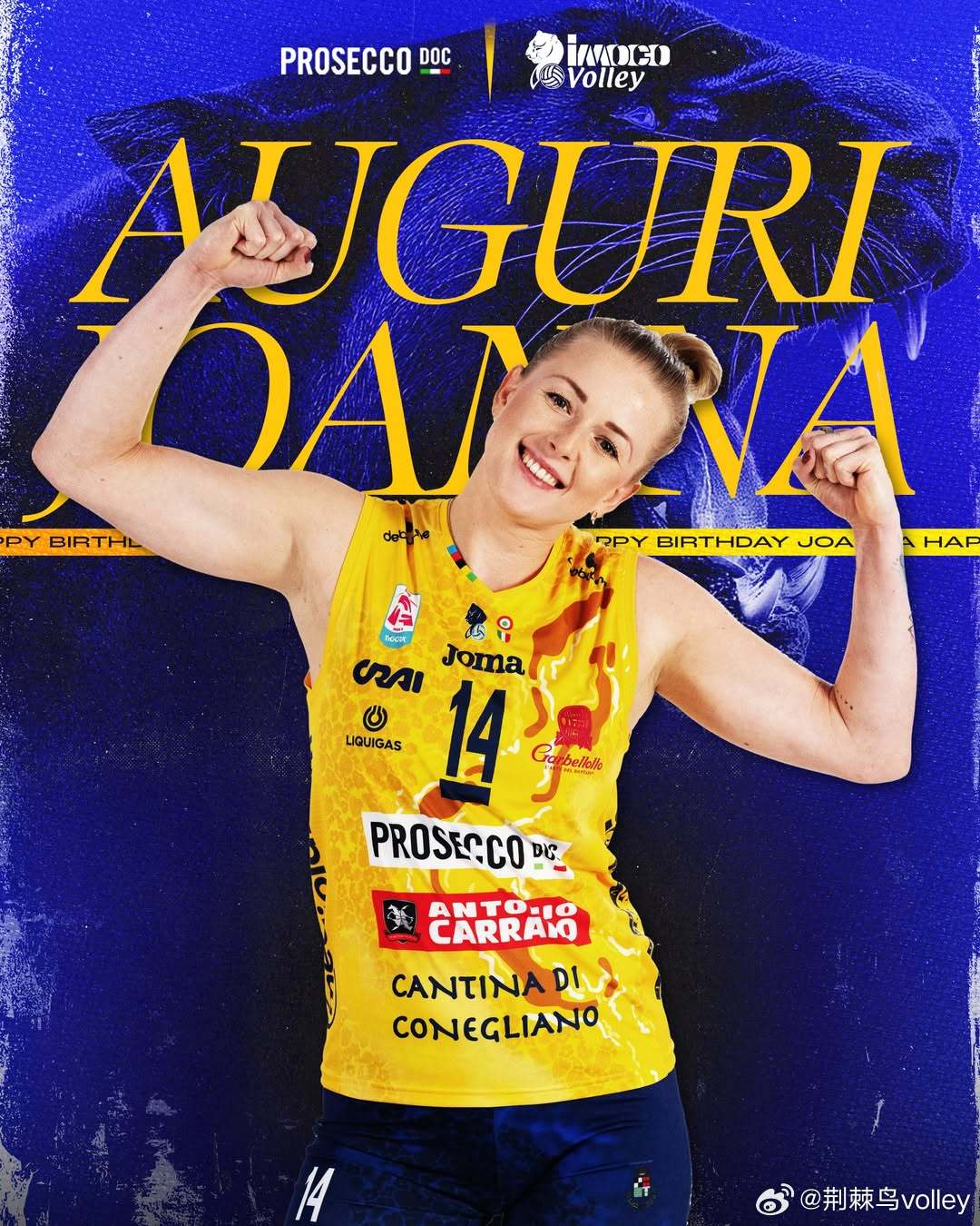 36 岁沃沃什生日快乐！✅ 意大利赛场统治力拉满：7 次意大利超级杯冠军、7 次