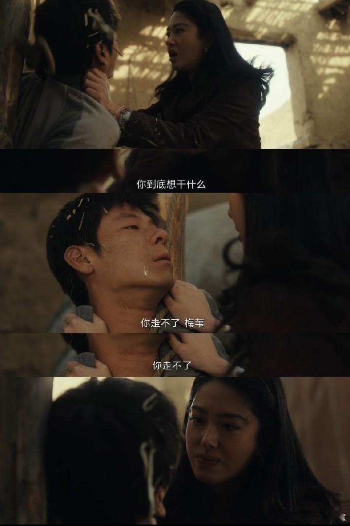 梅苇的经历令人难忘。矿镇如沼泽，她挣扎求生，几近脱困却被刘白拉回，精神支柱崩塌。