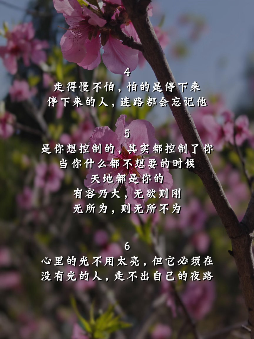 一句可以支撑你很久的话！ 