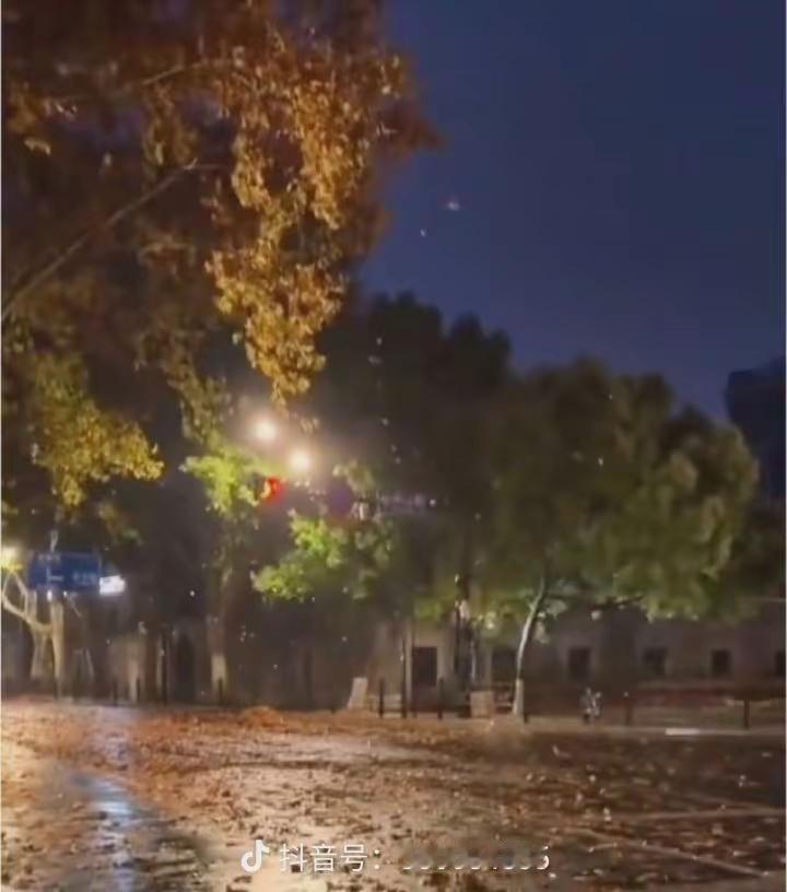 降温了 今天的风 把我吹明白了，没爱可以，但是没有外套 真不行！