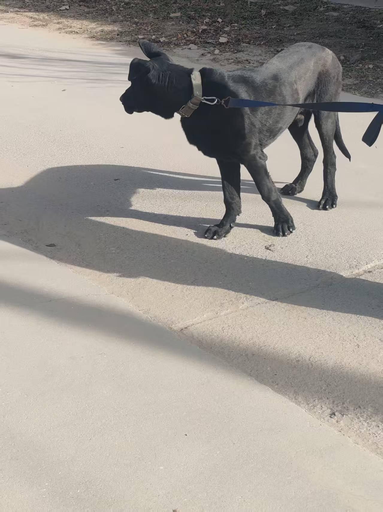 每日随手拍张照