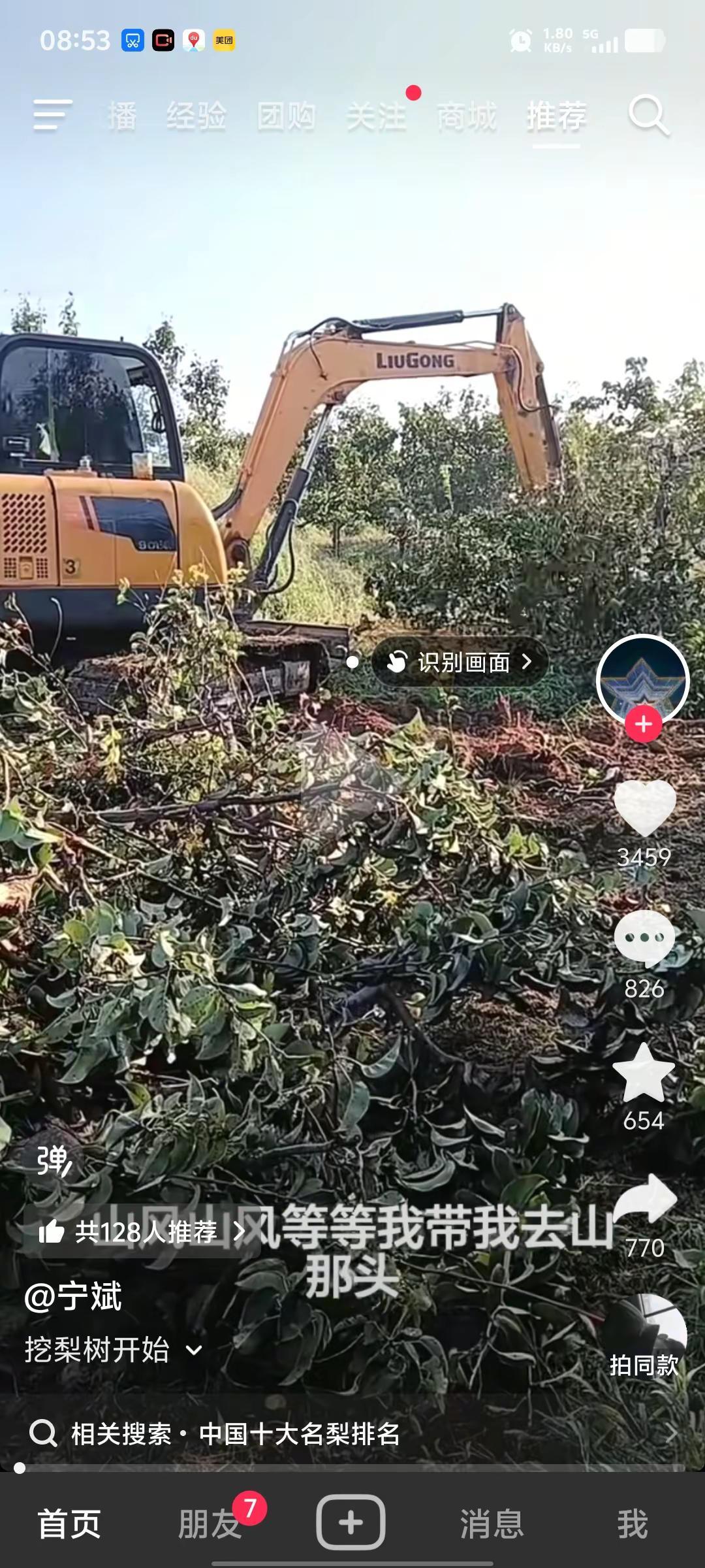 秋月梨已跌成了白菜价，果农亏惨了，农民难