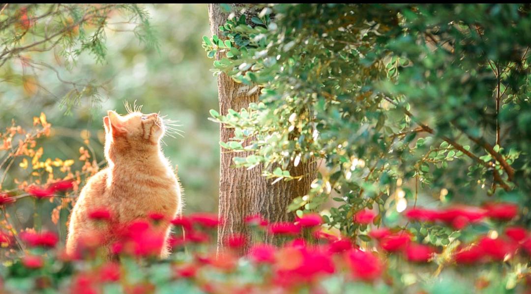 人生不必急于求成，慢慢沉淀，认真生活，所有美好都会在合适的时候如期而至。