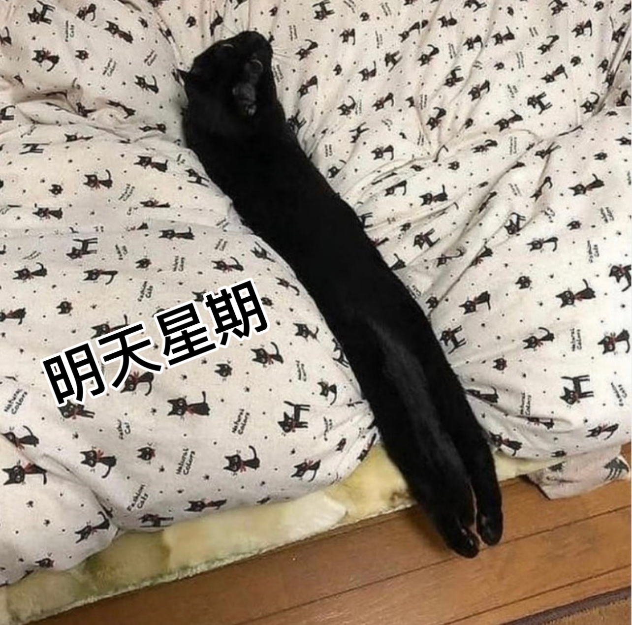 早点休息！#v笑年度大赏# ​​​