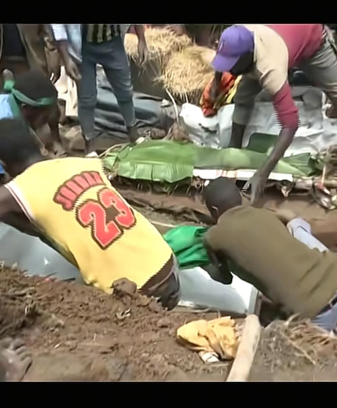 惊悚！
尼日利亚竟现百具无器官尸体！

中国打工人沦为重点目标，伊诺州杰西最佳酒