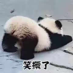 日本不高兴了这个世界终究癫成了我不认识的模样
