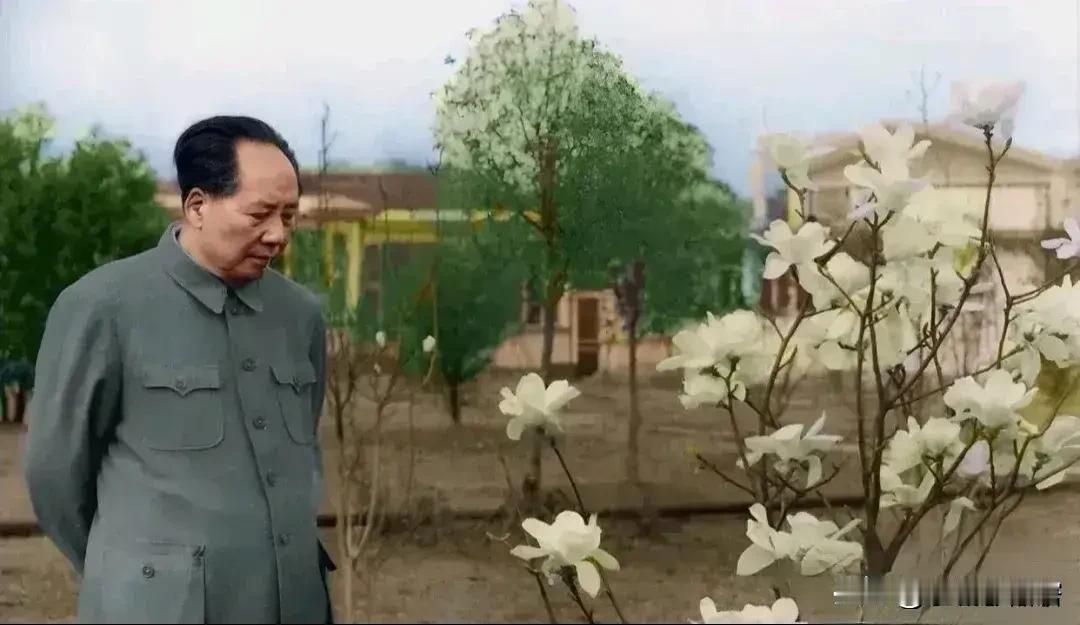 伟人沉思瞬间：庭院观花静思家国，席间凝神谋划大局，湖畔望远畅想山河。每一次低头与