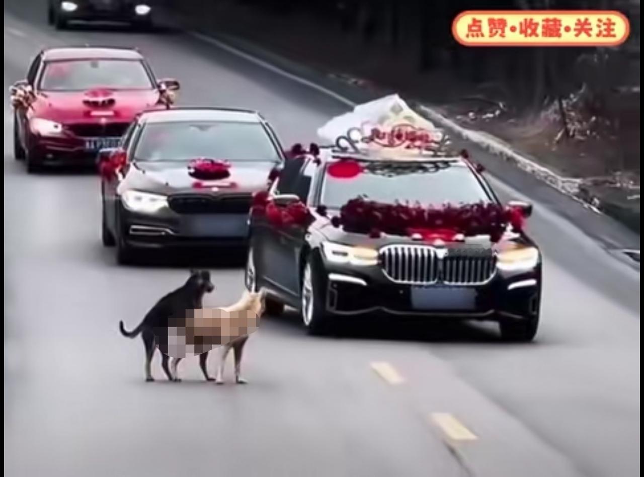 现场教学！如此应景，不知道是谁抓拍的。
图片取材网络。