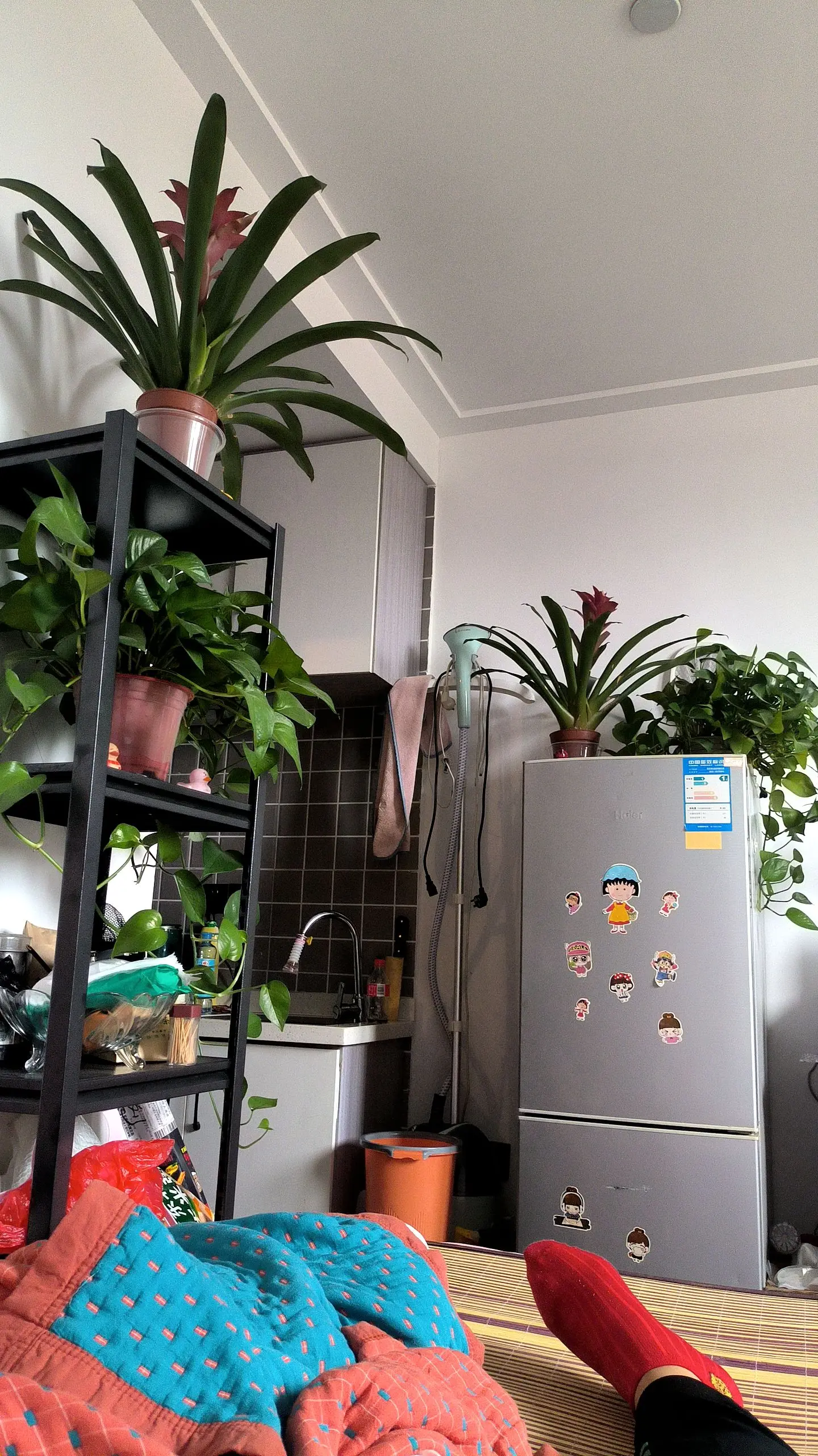 绿植摆放
