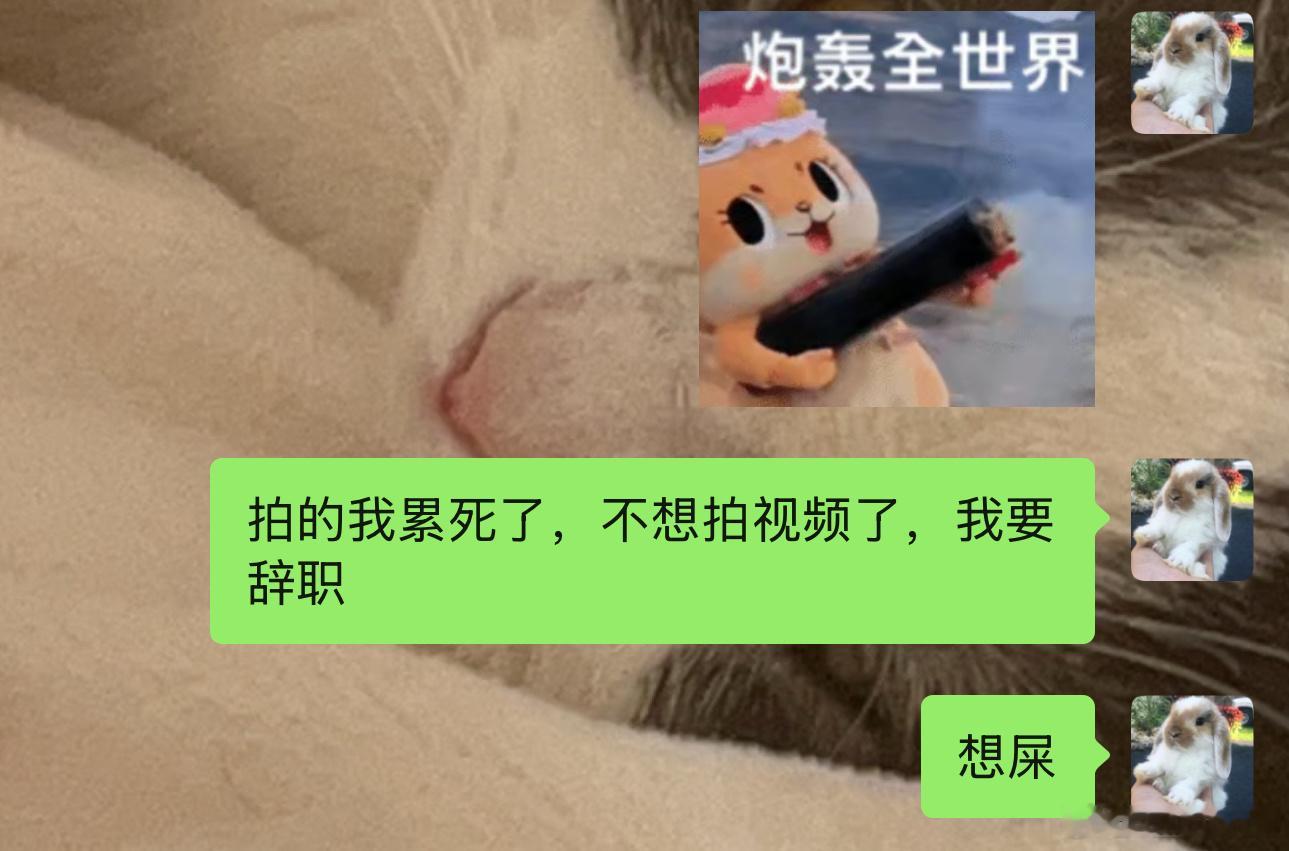 高强度工作几天be like 
