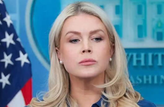 最近白宫发言人莱维特彻底放弃操守，在节目里一顿猛夸，把特朗普塑造成沉稳靠谱的领导