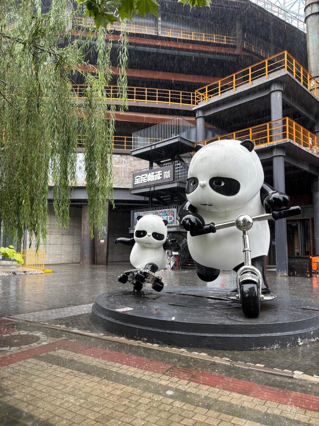 下了一整天的雨，真正的秋天从今天开始。北京的秋天秋雨  ​​​