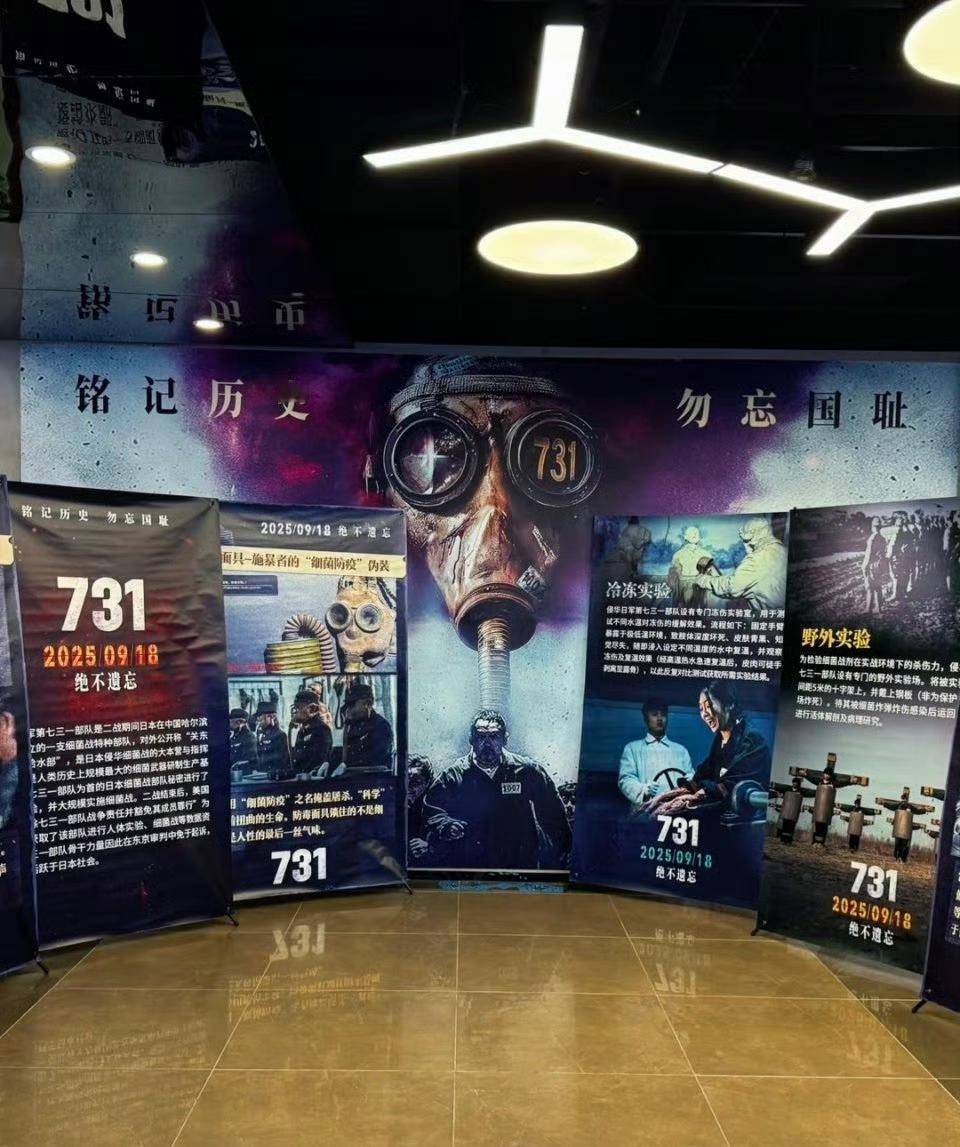 求真实评价！
731值得一看吗？
有没已经看过的朋友？
想蹲一个客观的评价！