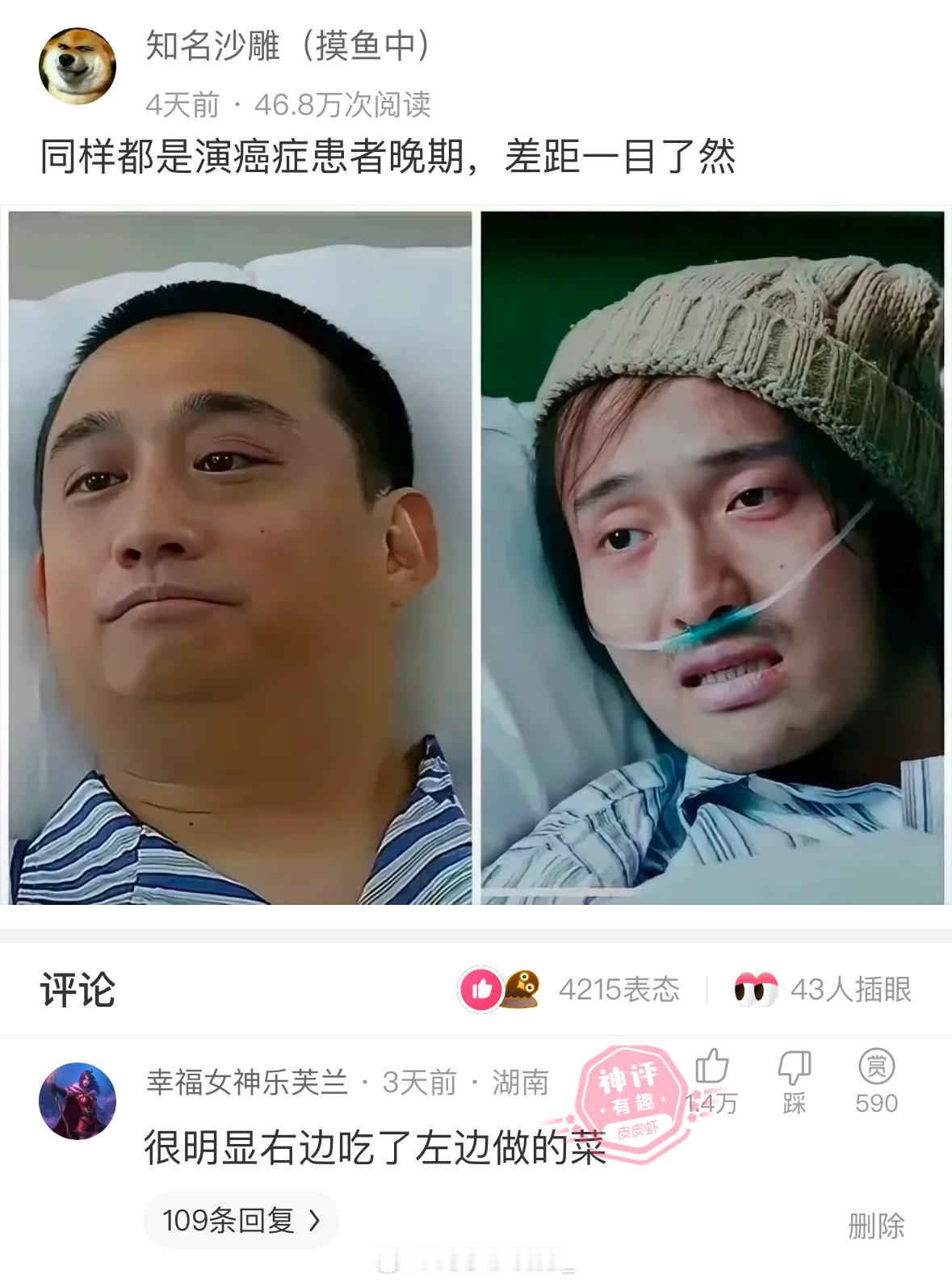 哈哈哈，这届网友太损了 