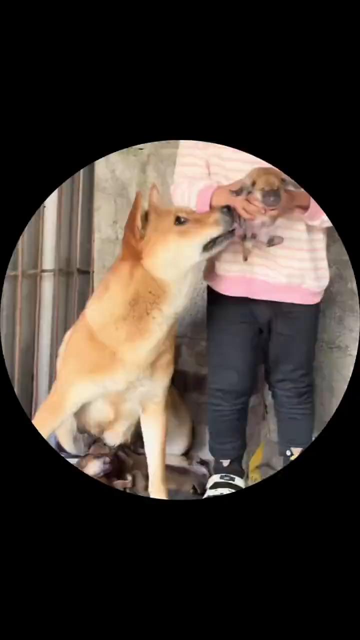 有人。