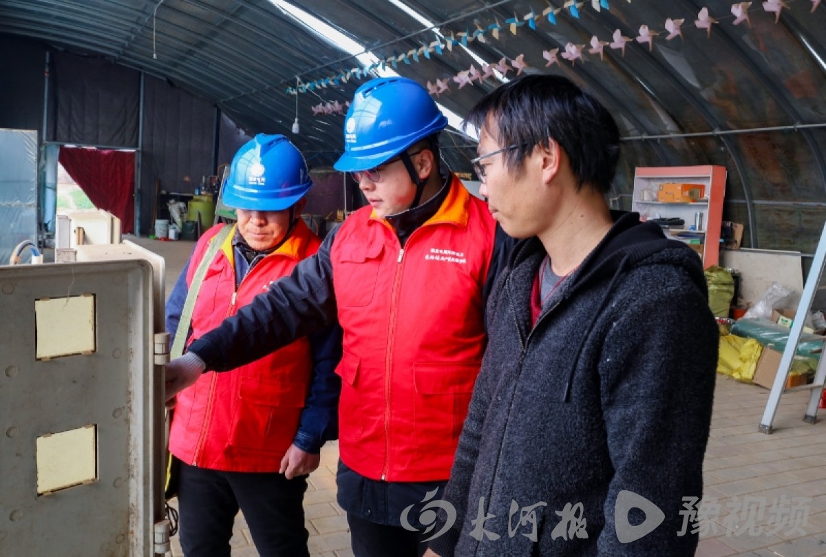 电力 “问诊” 进大棚 河南温县草莓抢 “鲜” 迎双节