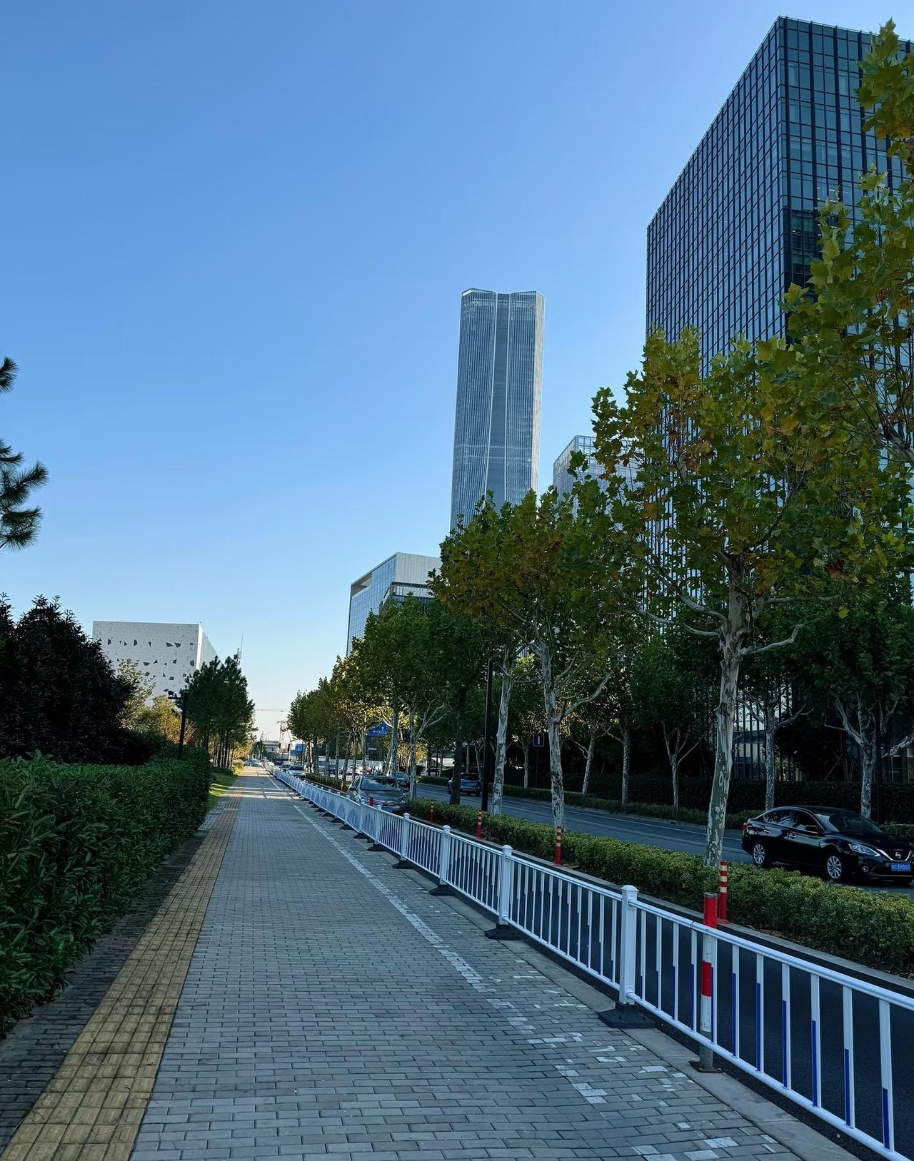 自从我怀孕后，孕反太严重了。
闻不到一点味道，天天差不多吐黄胆水。
还发烧头晕了