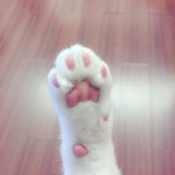 柱安热玩科技