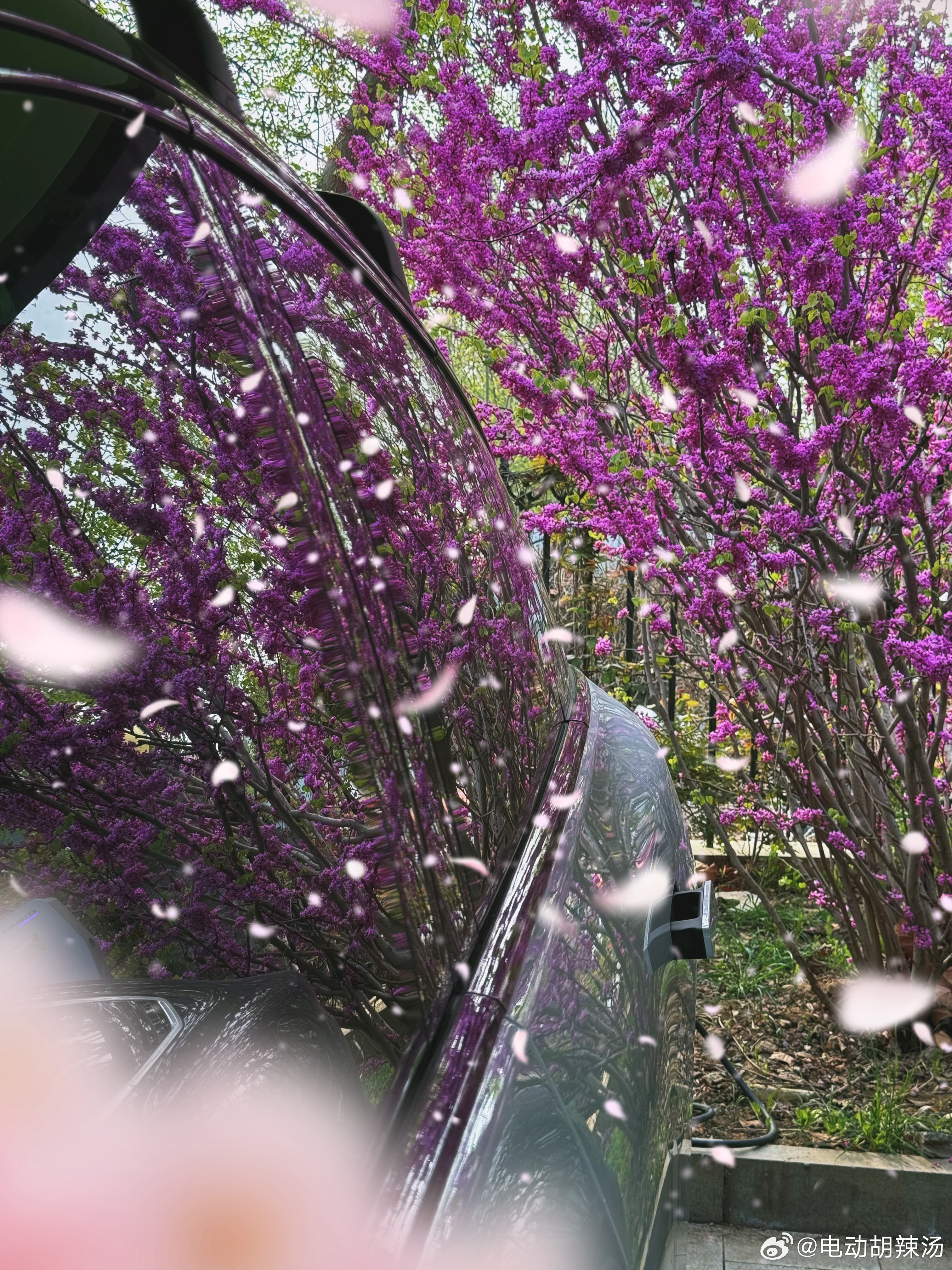 早！理想i8 纯平侧窗颜值真的好！理想汽车