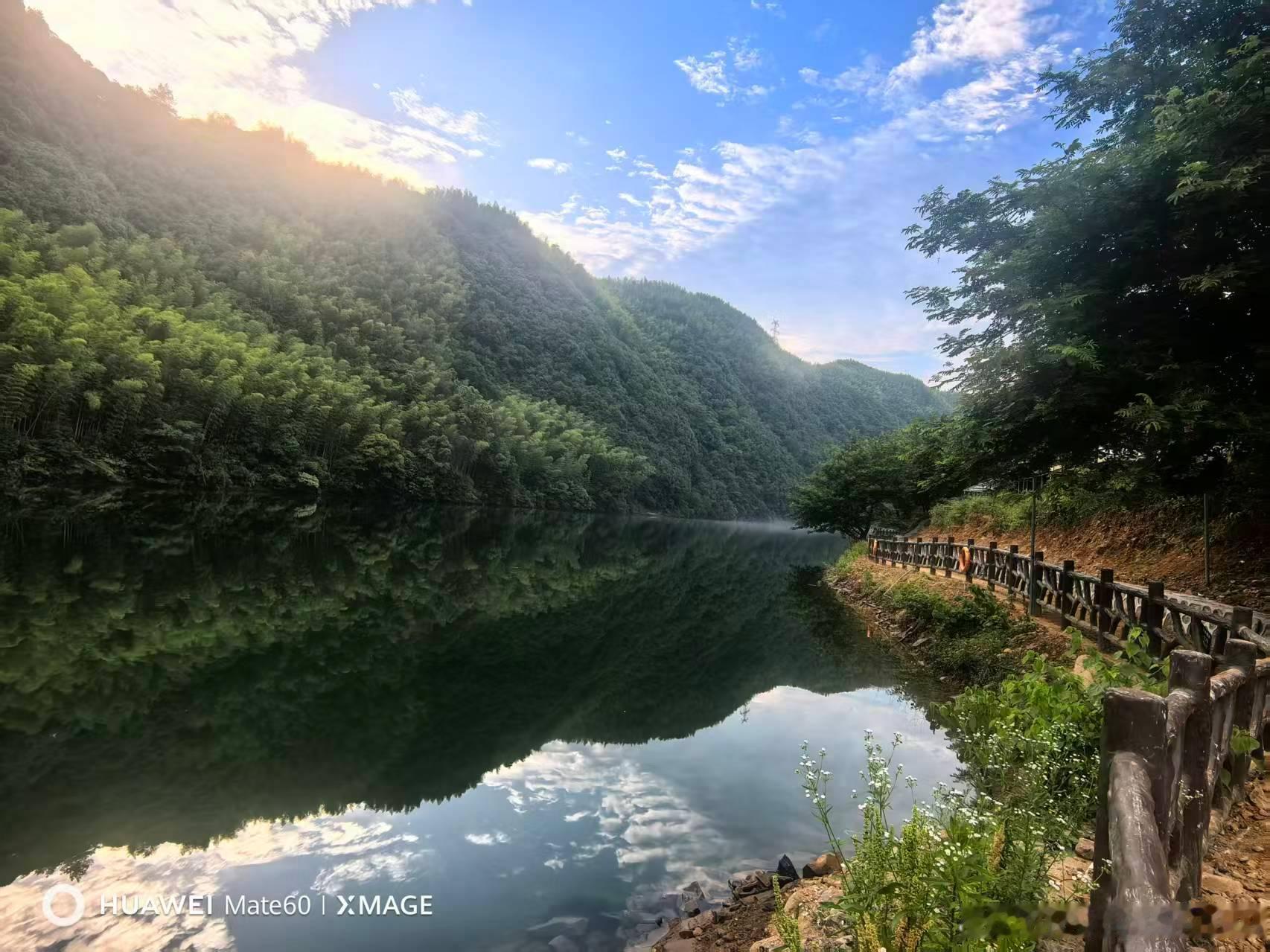 生活手记读书陆游的诗词选（一四七）柳梢青　锦里繁华。环宫故邸，叠萼奇花。俊客妖姬