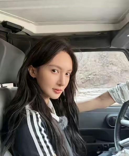 金晨回应了吗？
没有。
张雨绮回应了吗？
也没有。

明星们长久的被捧着、被簇拥