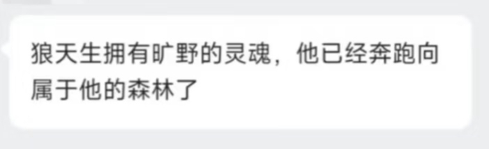 我更想哭了………… 