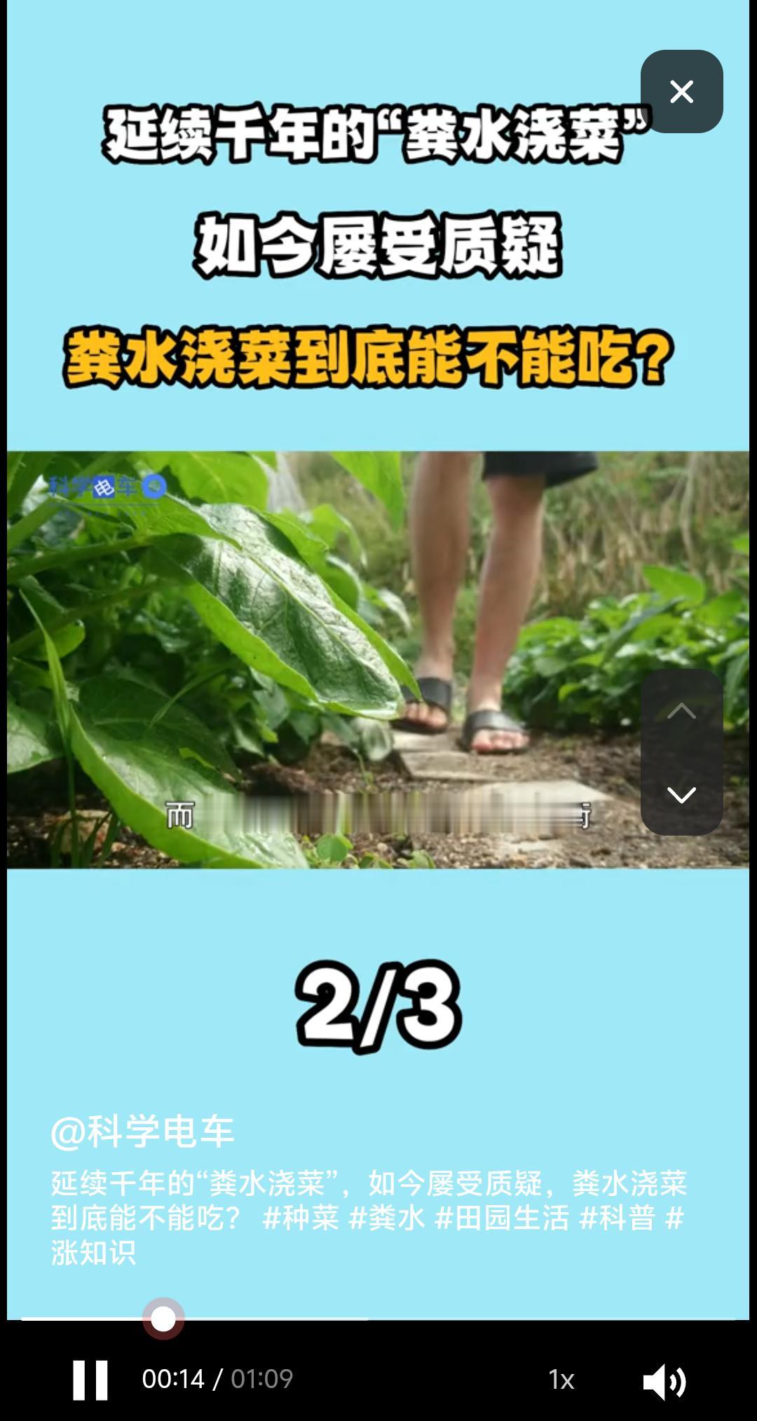 “粪水浇菜”是污染食物的源头?中科院院士曾毅认为，农村人用粪水直接浇菜，完全是千