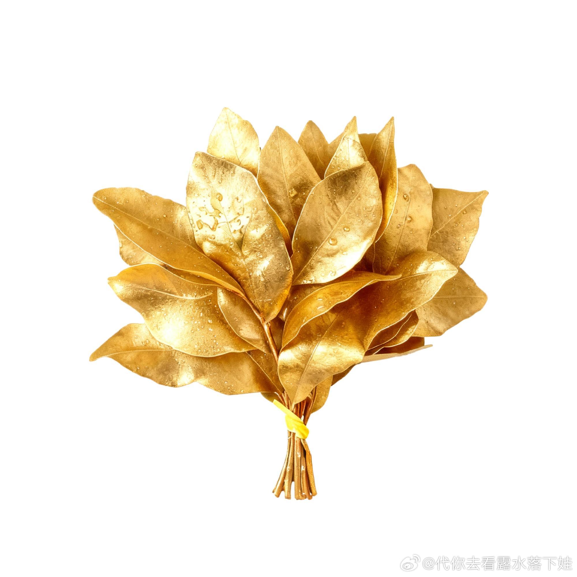 虽然这个有点土，但是我喜欢[鼓掌] ​​​