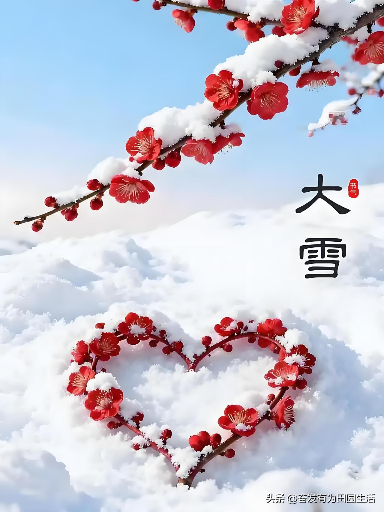 大雪纷飞中，红梅傲然绽放，心形的雪景美不胜收。分享早安的美好话语