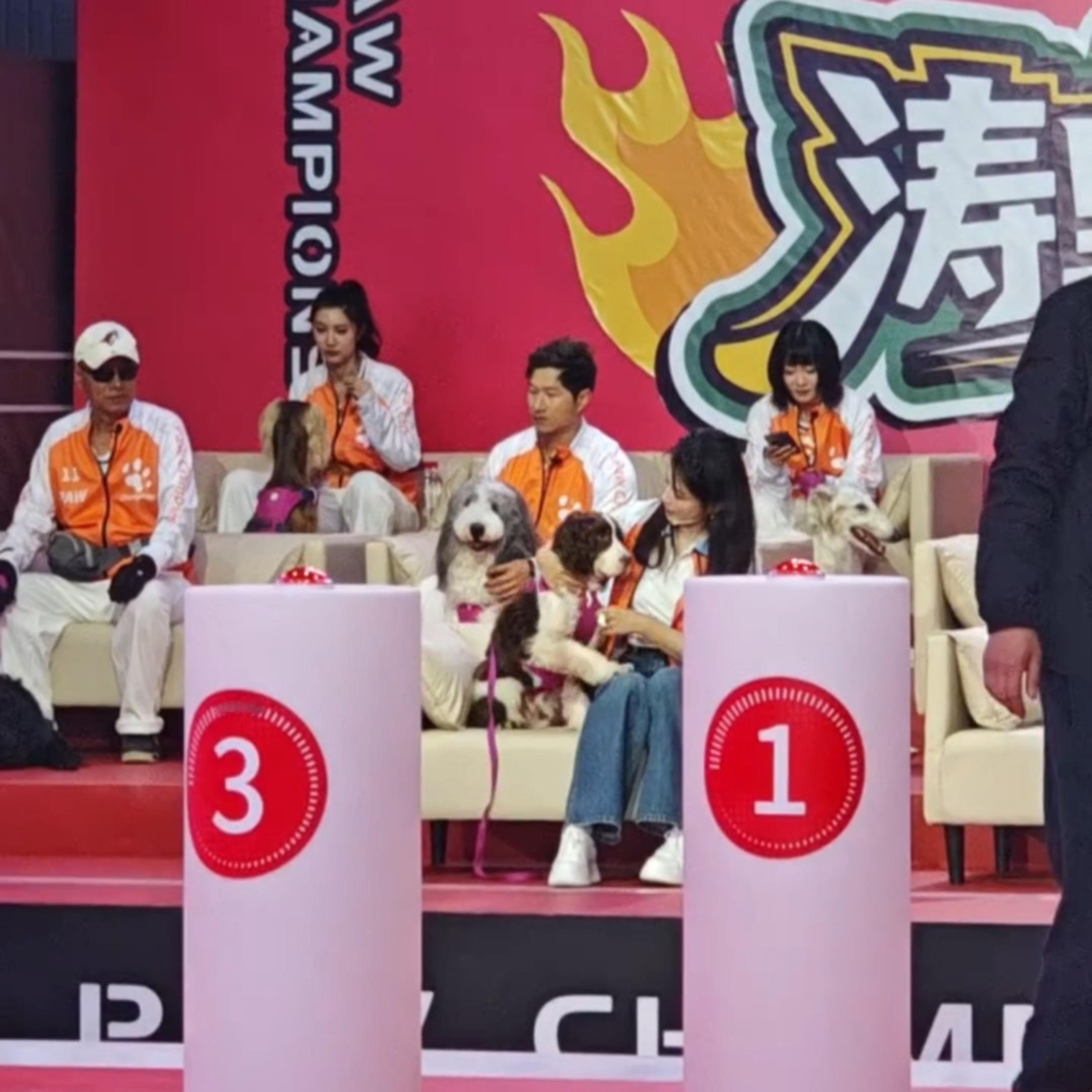 查理妈把零食渣子擦查理头上，把眼s擦查理腿上别说确实是刘涛会干的事