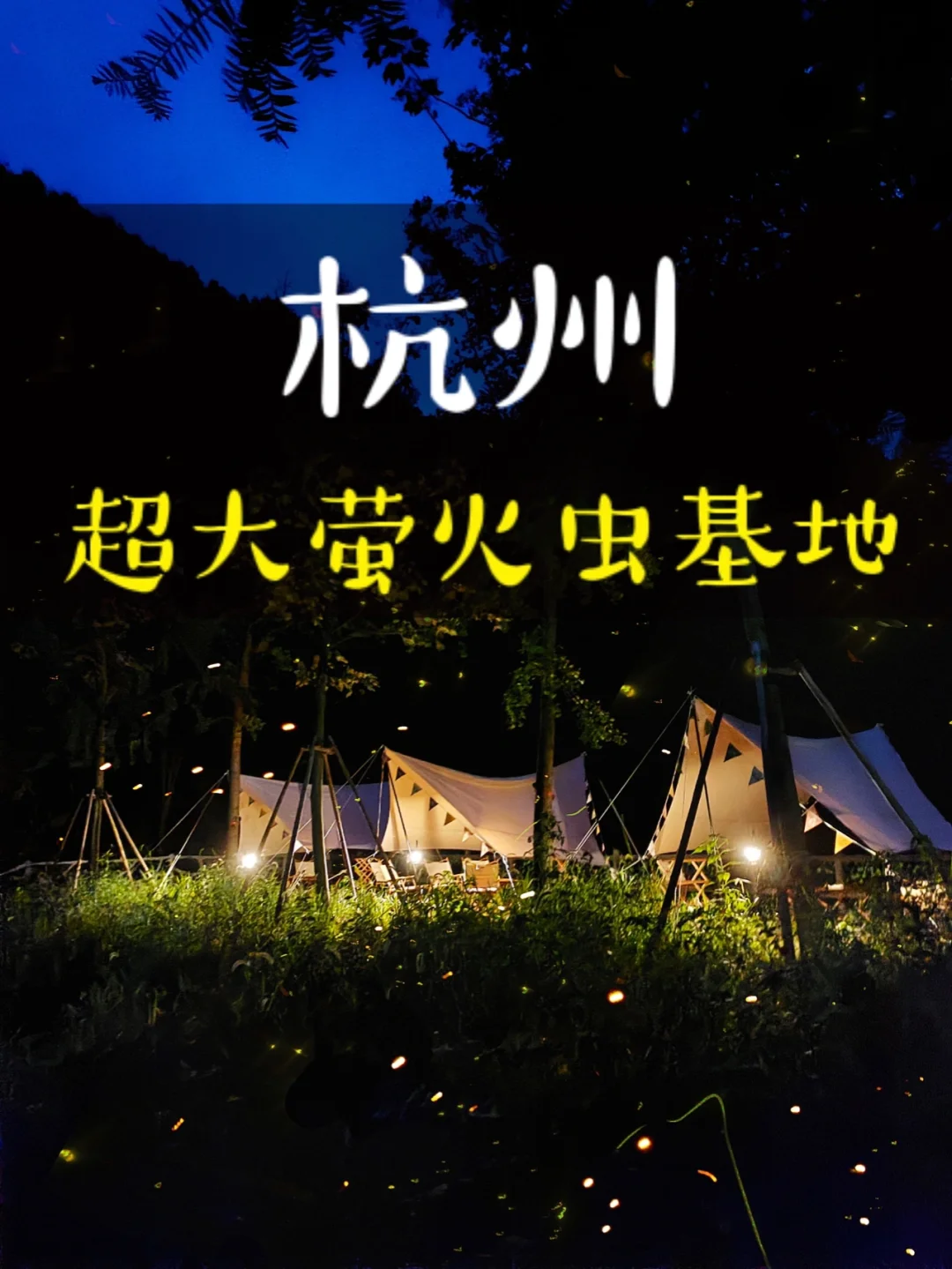 这个夏天，一定要和爱的人看一场萤火虫🤪