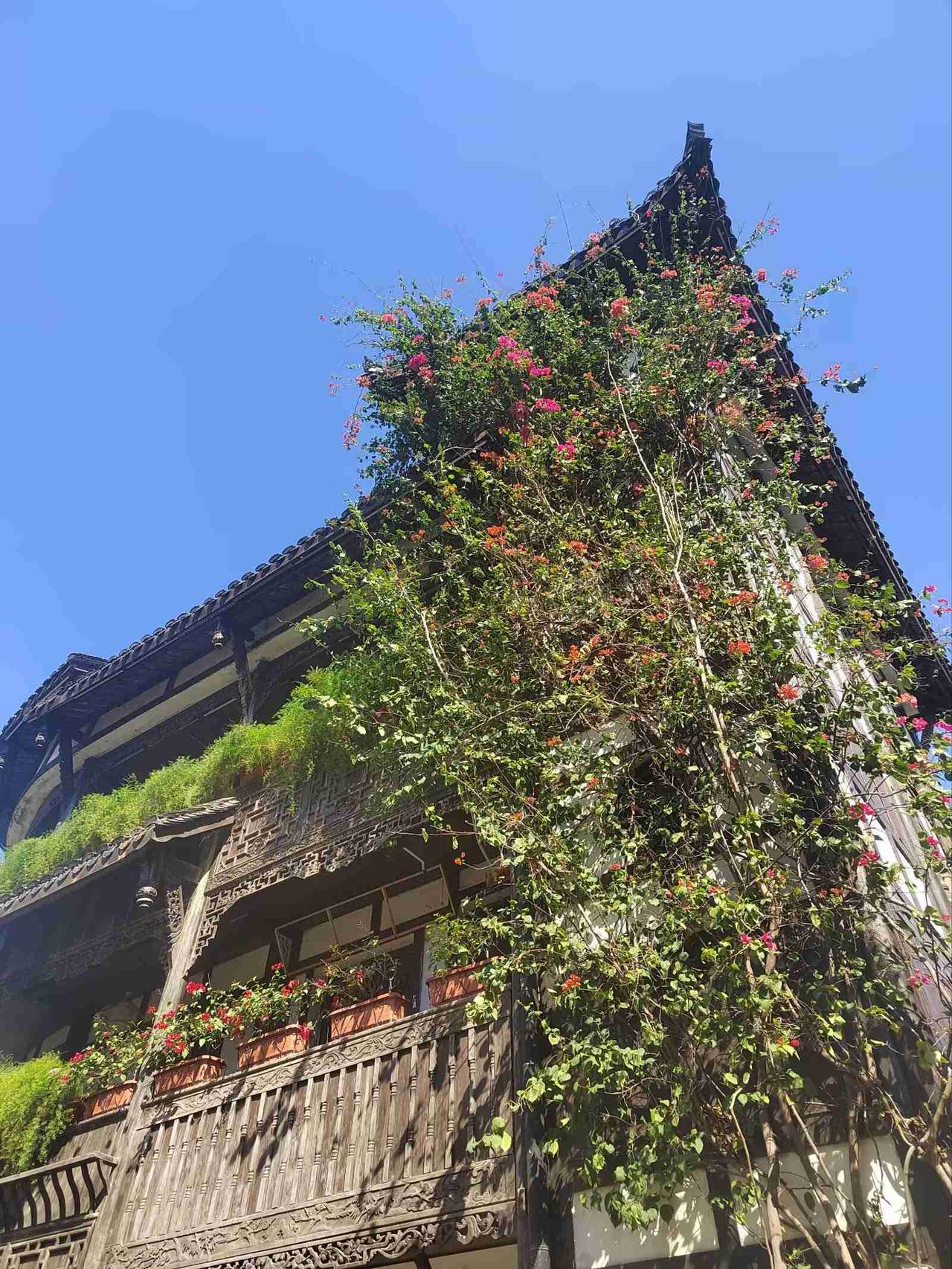 我的今日状态：🏝️旅行度假
我这里的天气：🌤️多云