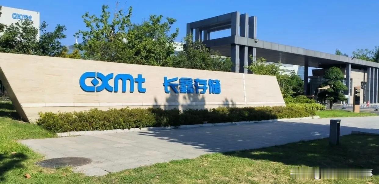 绕开技术壁垒！两大存储巨头扎堆IPO，国产芯片大局几乎已定！

这不是危言耸听！
