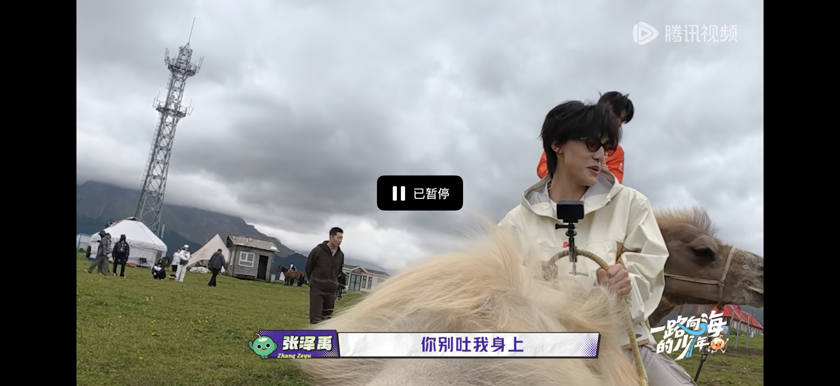 “我这个脾气好大”“你别吐我身上”我被我家狗儿猪儿笑得啊啊啊啊啊啊啊啊 ​​​