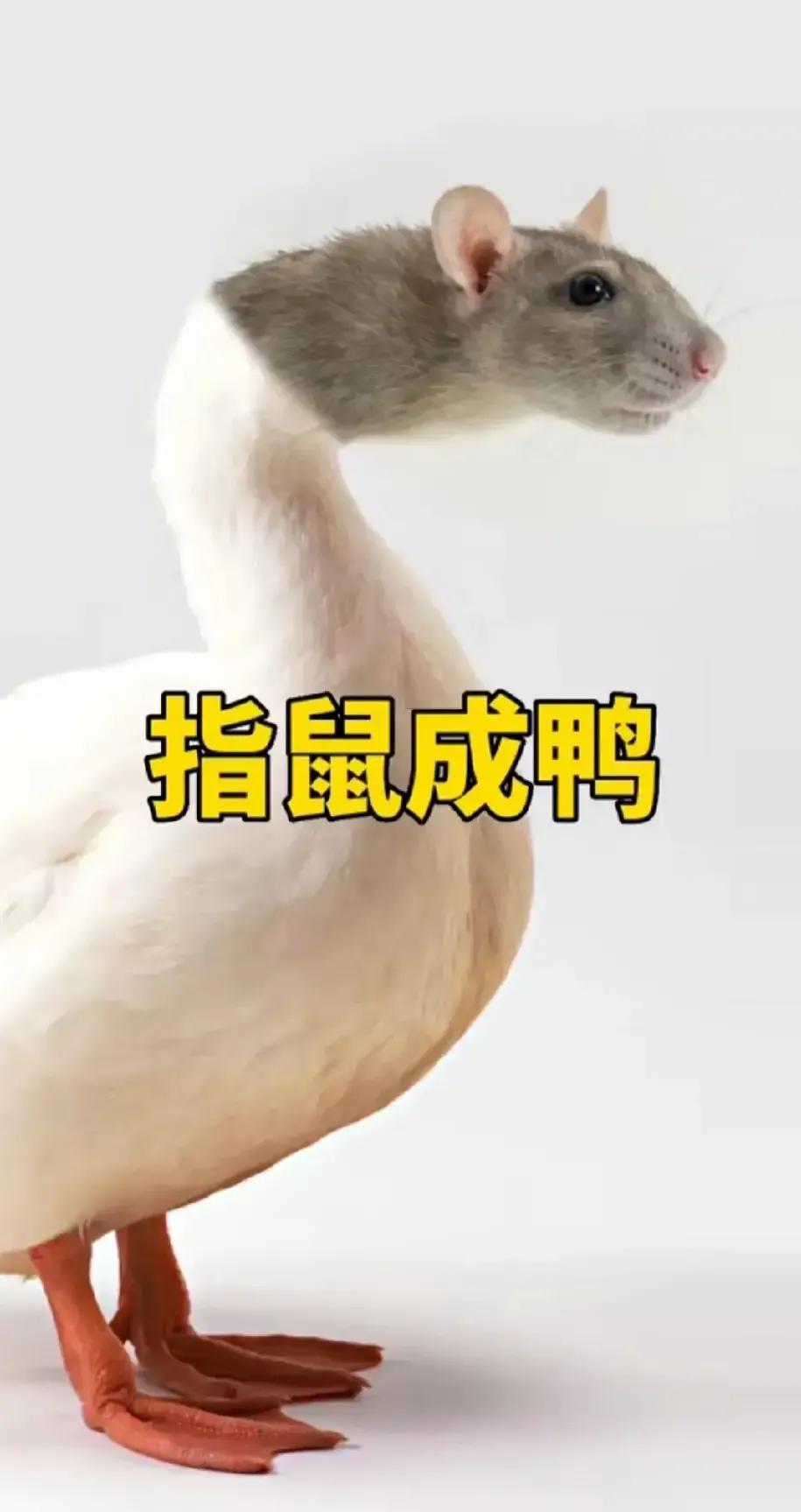 天下之大无奇不有，让检测机构给整出了奇葩事！我们还能相信谁？
一个职业院校的食堂