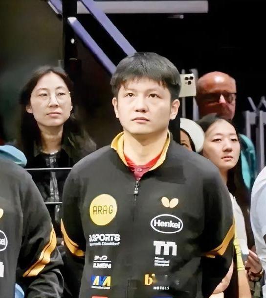 樊振东被中外球迷喜爱的五大理由

1、长相端正干净，身材挺拔适中，属于那种第一眼