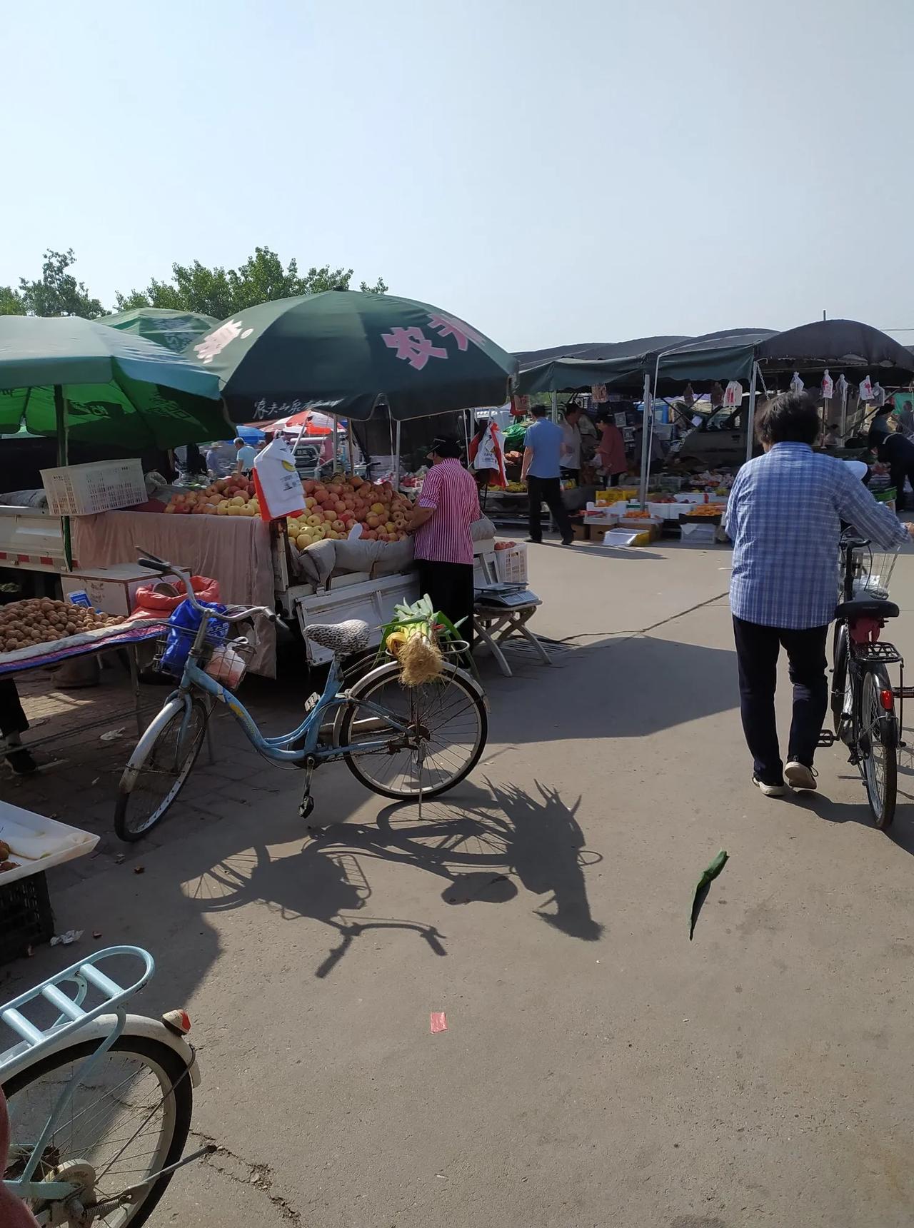 天津郊区早市，香蕉1.5元,黄瓜2元，豆角2.5一斤，20块钱买了8斤甜瓜[笑哭