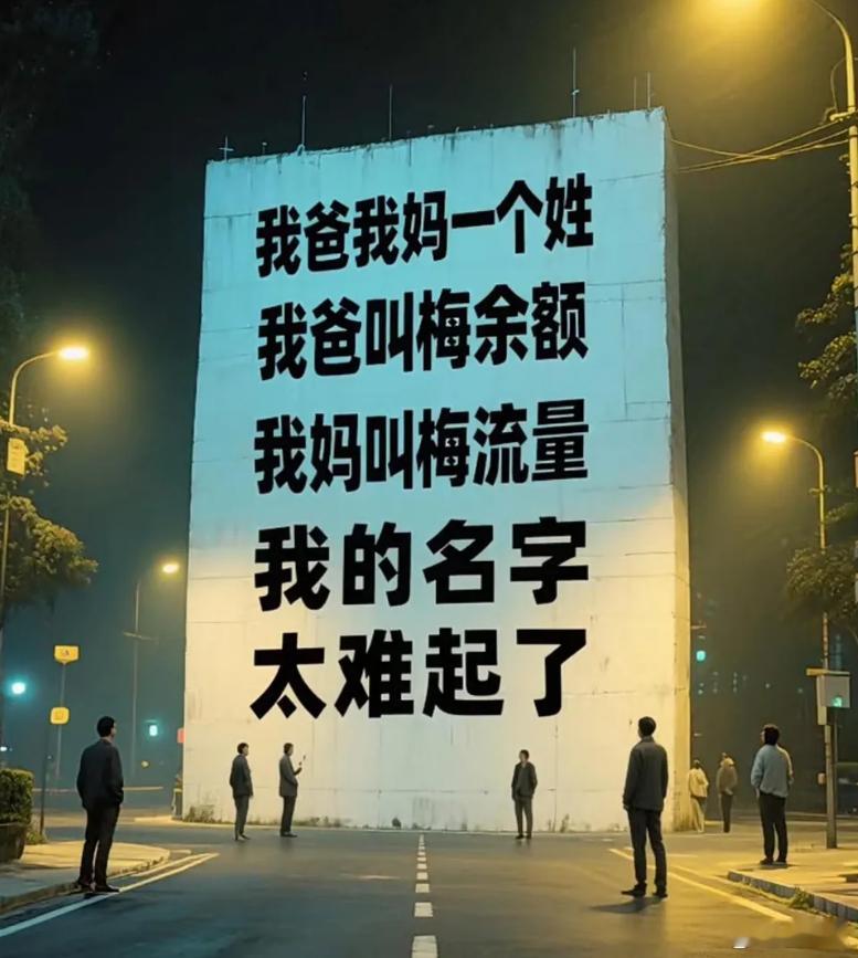 这人的爸妈一个姓，其爸叫梅余额，其妈叫梅流量。你们觉得他会叫梅什么呢？ 
