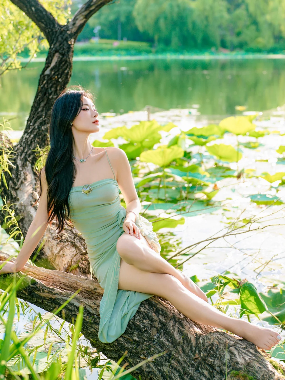 🪷植物学家的女儿･ﾟ✧