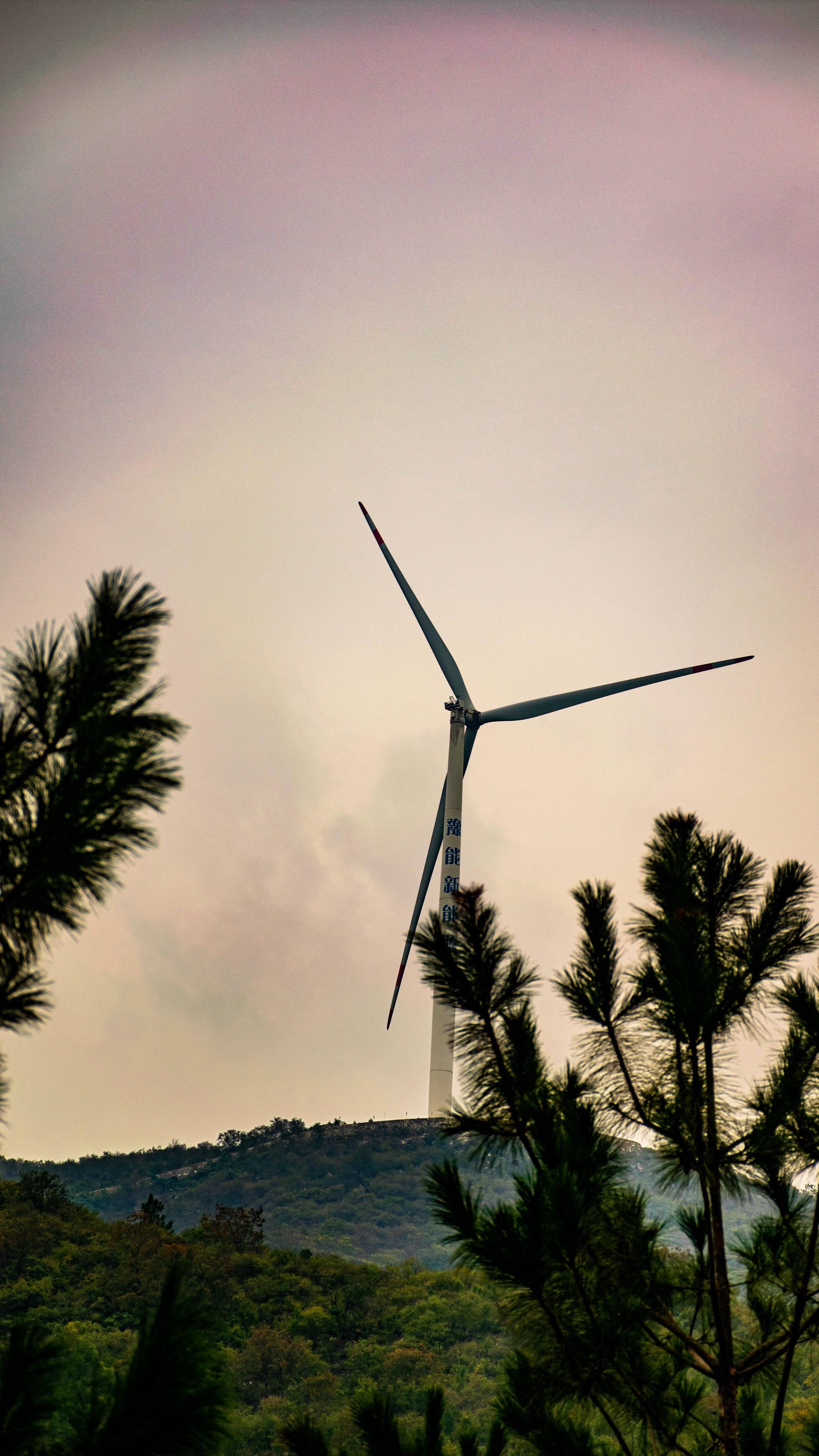 抛开构图不说…康子锐度真棒。