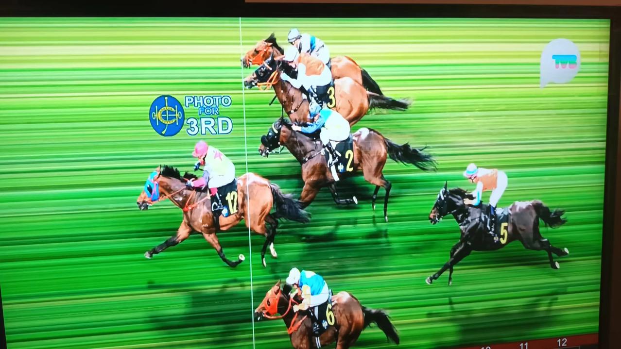 赛马会专业评磅员力求每匹赛驹得到适当的评分，以胜负距离和取胜是否轻松从容或勉强为