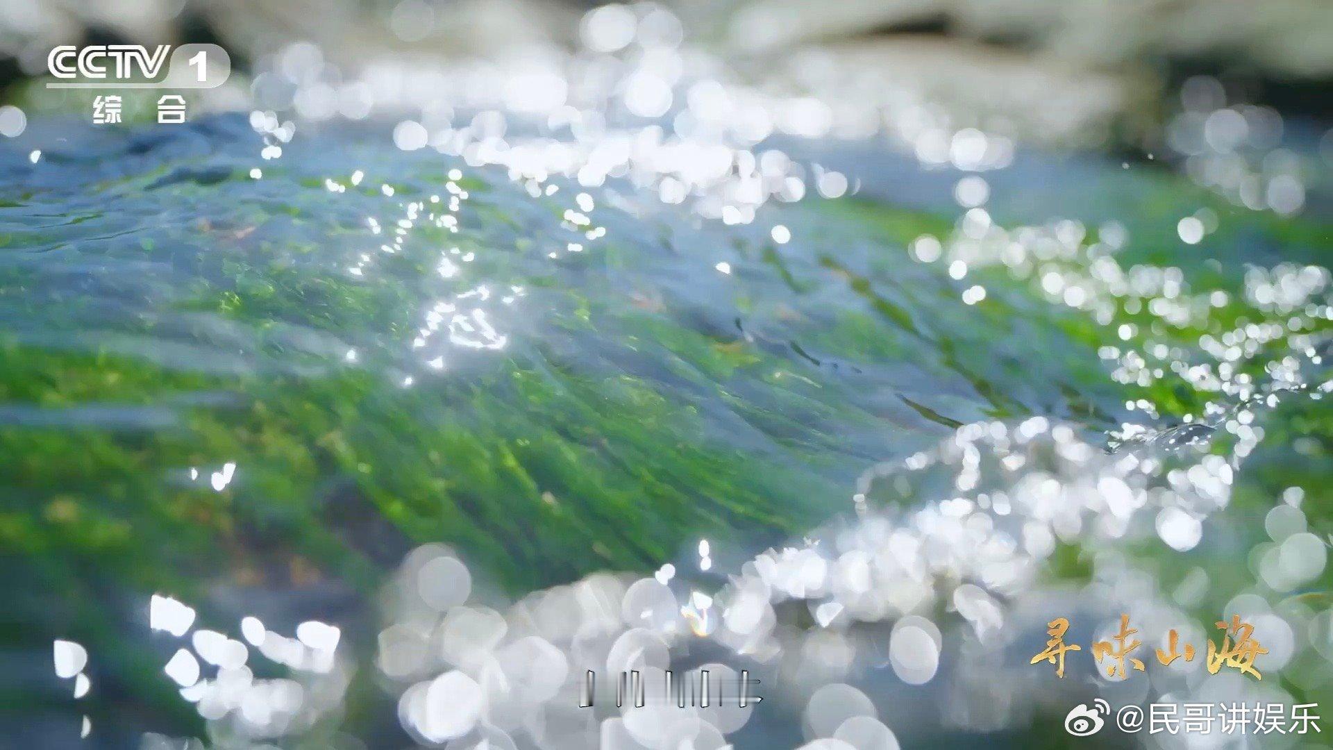 福建有种鸭越老越贵3招教你判断鸭子年龄 连城白鸭反套路定价，年龄越大越抢手！掌握