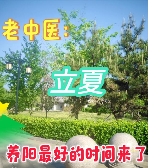 夏天适合养阳，动则生阳，动起来就是在养生。夏天适当的动一动，晒晒太阳出出汗，可以